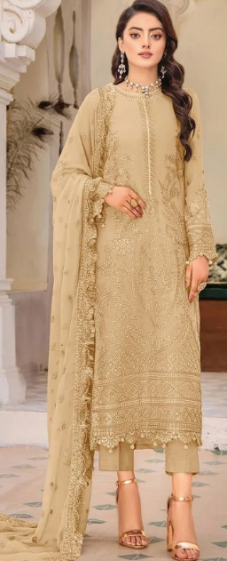 Organza Pakistani Salwar Suits