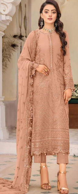 Organza Pakistani Salwar Suits
