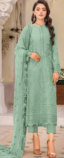 Organza Pakistani Salwar Suits